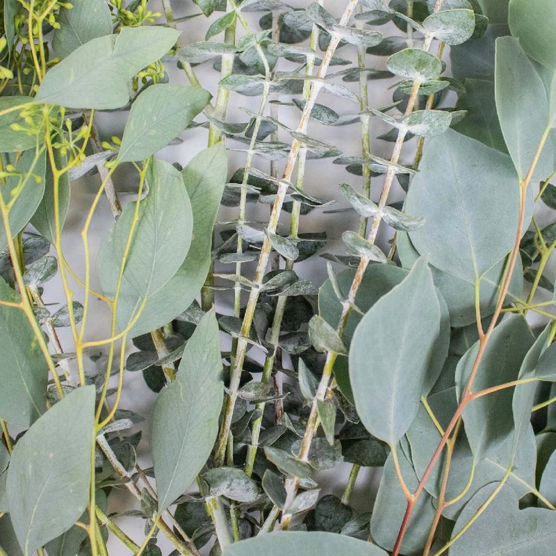 Eucalyptus Wedding DIY Greenery Box