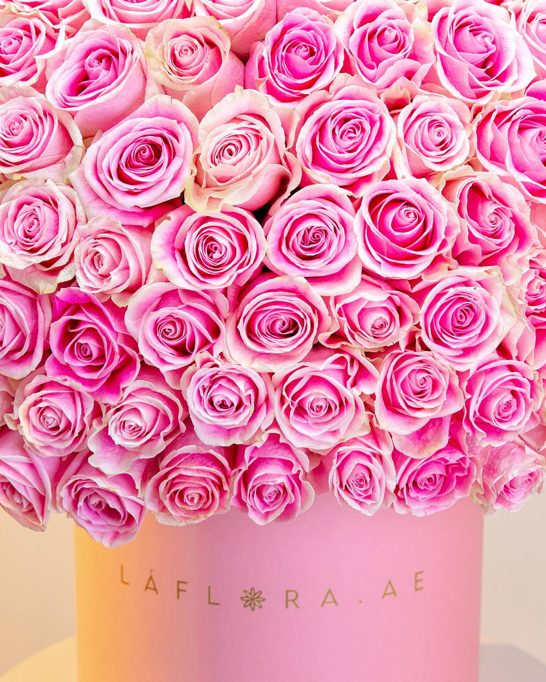 Luxury Pink Rose X-Large