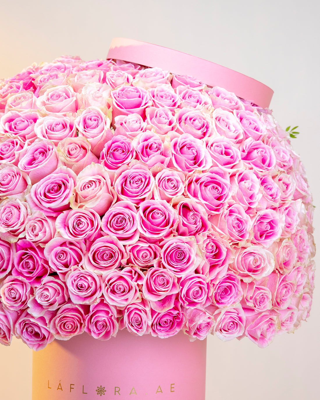 Luxury Pink Roses Box