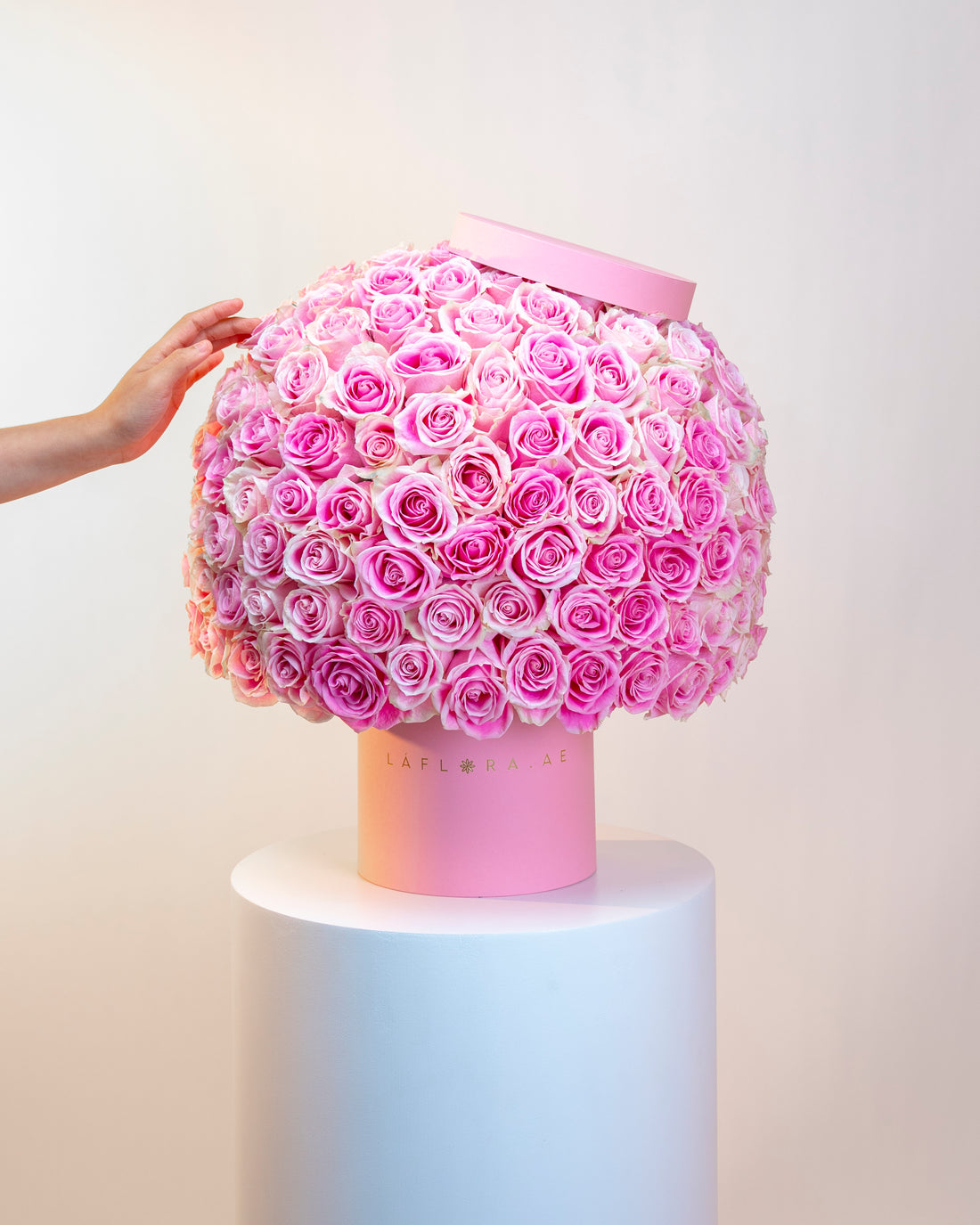 Luxury 100 Pink Roses Box