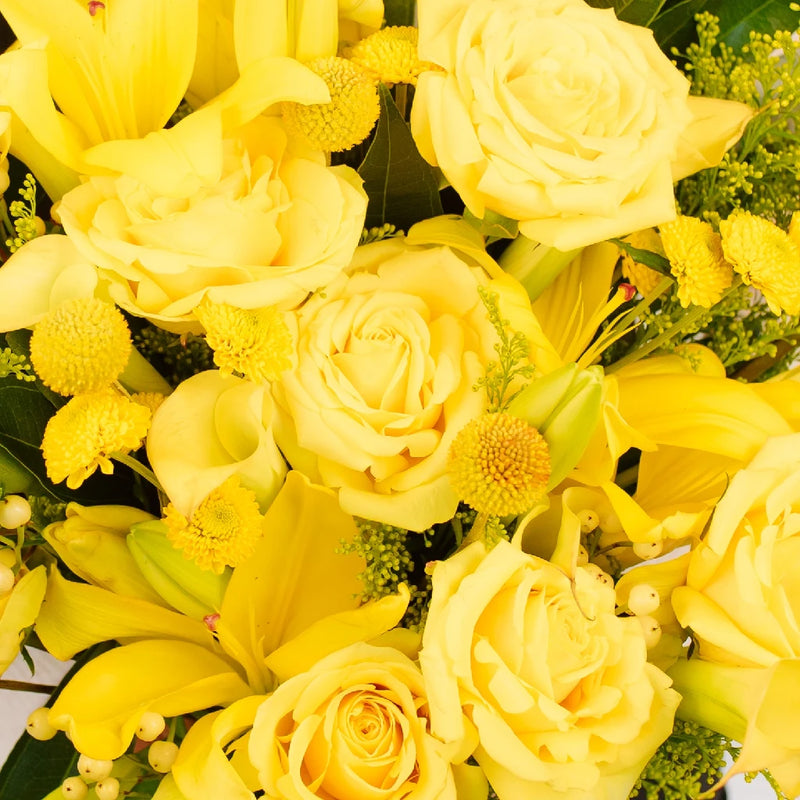 Mellow Yellow DIY Flower Kit