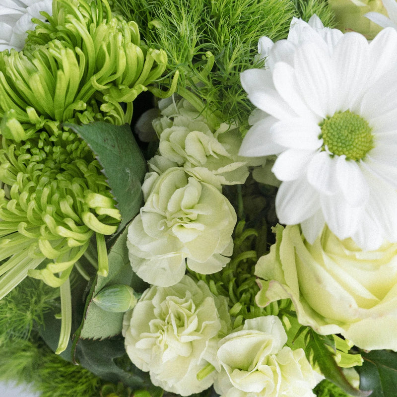 So Fresh, So Green DIY Flower Kit