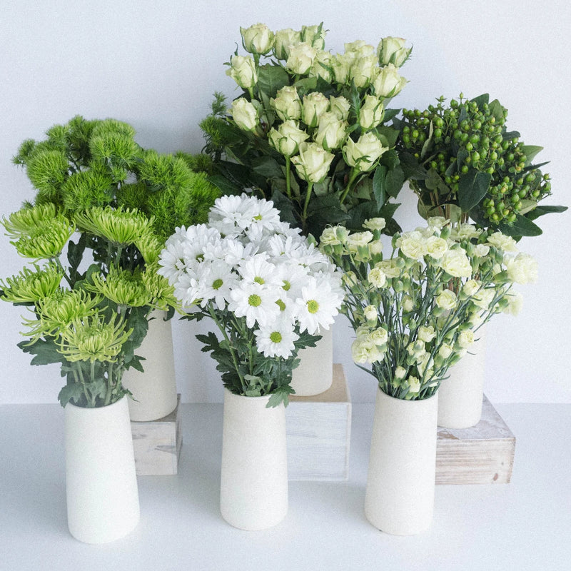 So Fresh, So Green DIY Flower Kit